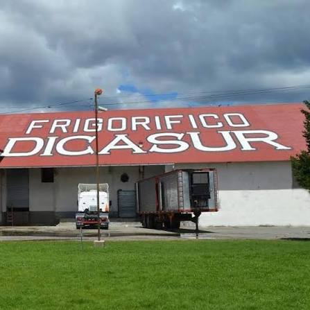 Referencia aportada de Frigorífico DICASUR